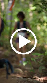 BIB:  <button type="button" onclick="openModal(27580221)" class="btn btn-primary btn-sm float-right" data-toggle="modal" data-target=".modal-high-quality">
                <i class="fa fa-download"></i> Download
                </button>